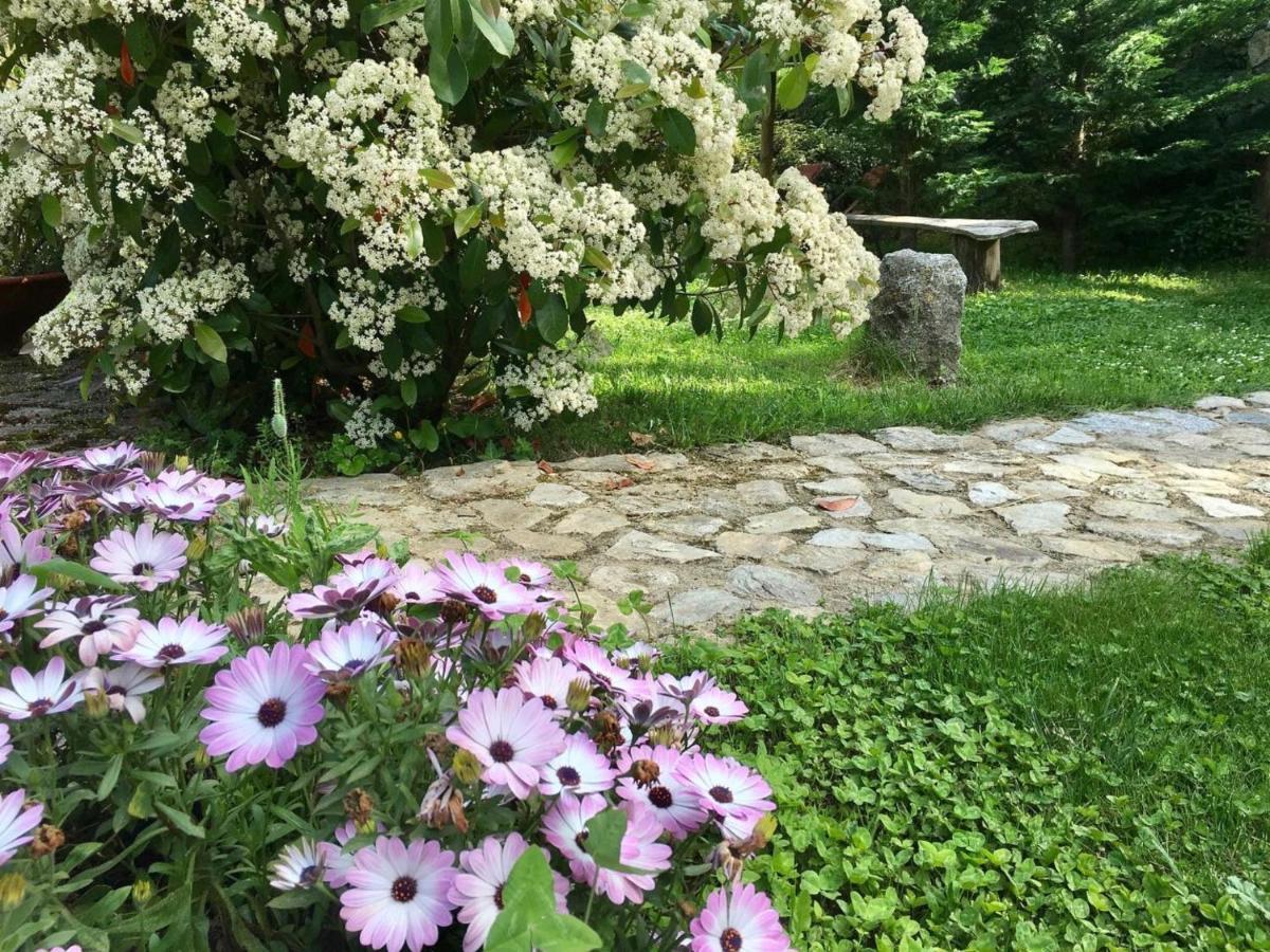Chambres D'Hotes - Mulino Nannare Ville-di-Paraso ภายนอก รูปภาพ